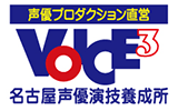 voice3 logo